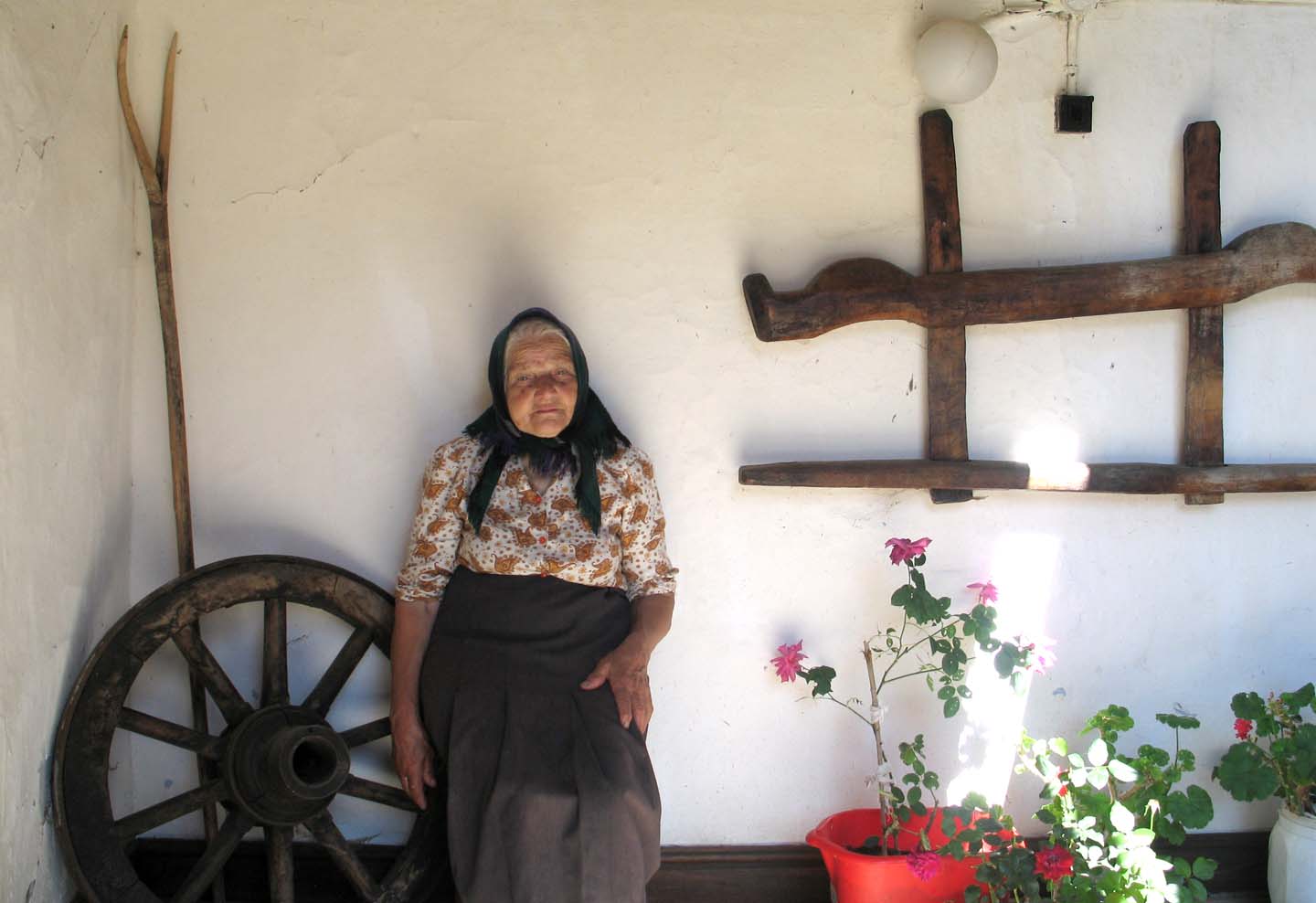 Grandma Grandma of a small family homestead high in the Transylvania Mts.